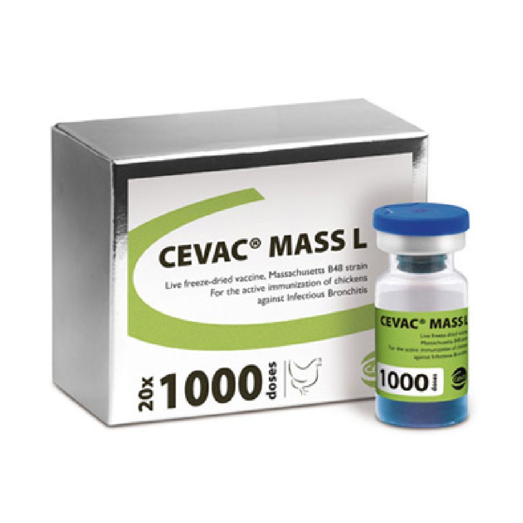 Севак Mass L