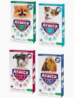 Атакса