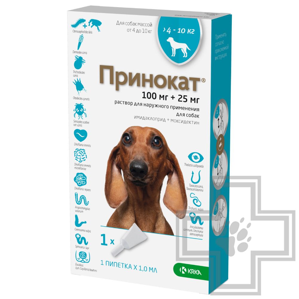 Принокат® для собак