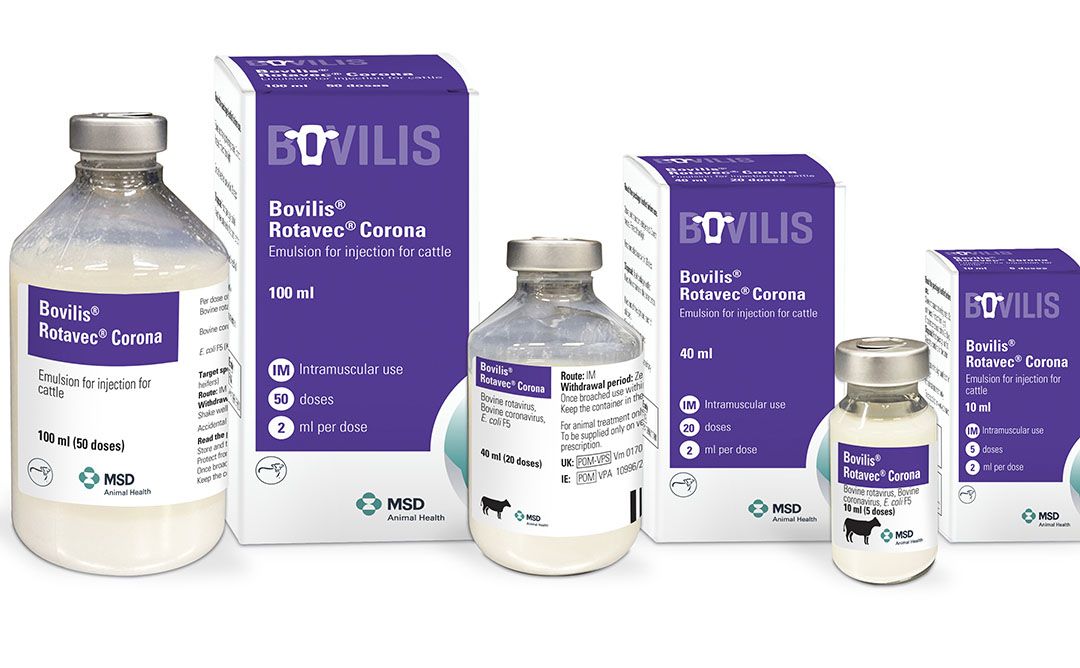 Bovilis Intranasal RSP
