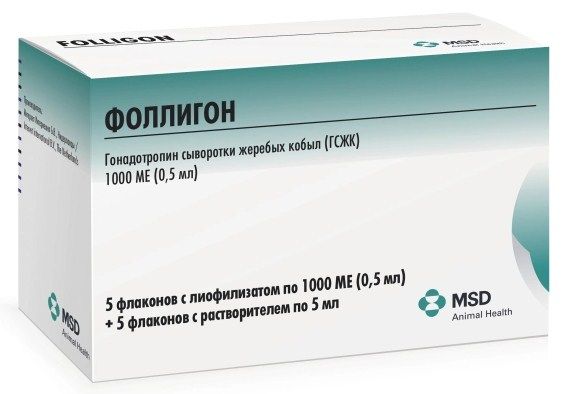 Фоллигон