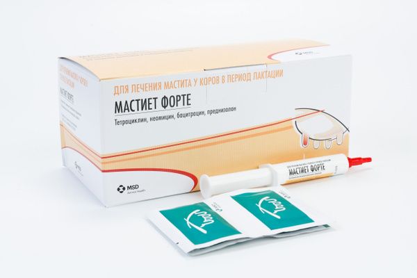 Мастиет Форте