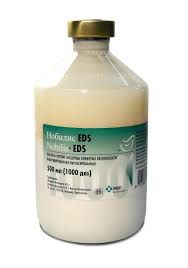 Нобилис EDS