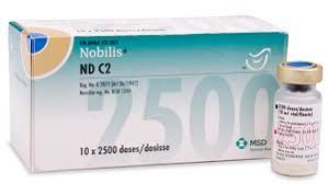 Нобилис® ND C2
