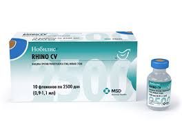 Нобилис Rhino CV