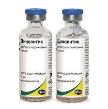 Динолитик