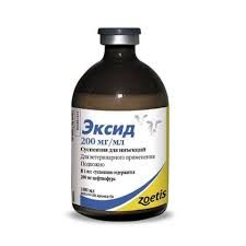 Эксид