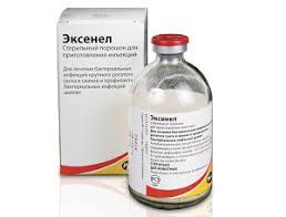 Эксенел