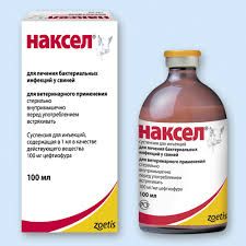 Наксел