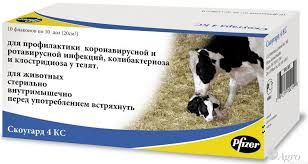 Скоугард 4КС