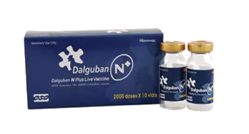 Дальгубан N+