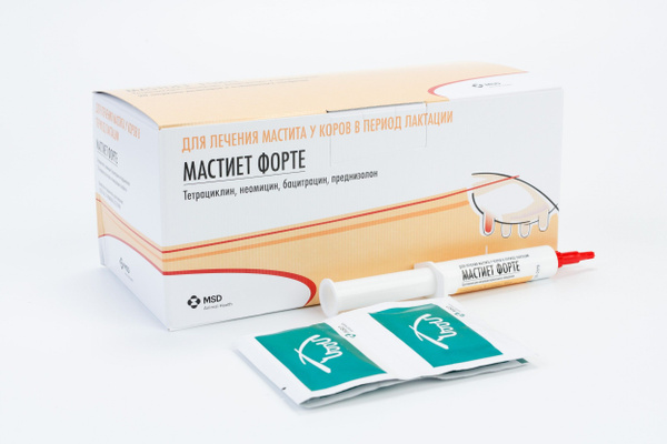 Мастиет Форте